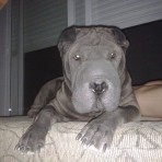 Xena